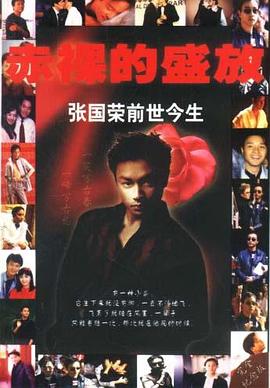赤裸的盛放張國榮前世今生 赤裸的盛放張國榮前世今生