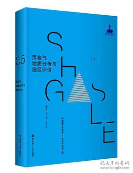 頁巖氣地質(zhì)分析與選區(qū)評價 頁巖氣地質(zhì)分析與選區(qū)評價
