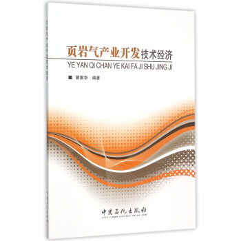 頁巖氣產(chǎn)業(yè)開發(fā)技術經(jīng)濟 頁巖氣產(chǎn)業(yè)開發(fā)技術經(jīng)濟