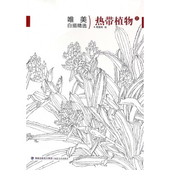 熱帶植物/唯美白描精選