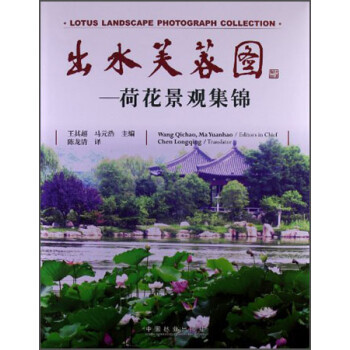 出水芙蓉荷花景觀集錦 出水芙蓉荷花景觀集錦