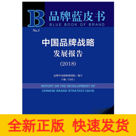 中國品牌戰(zhàn)略發(fā)展報(bào)告 中國品牌戰(zhàn)略發(fā)展報(bào)告