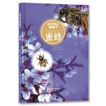 動(dòng)物美繪翻翻書蜜蜂 動(dòng)物美繪翻翻書蜜蜂