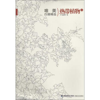 唯美白描精選熱帶植物 唯美白描精選熱帶植物