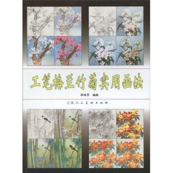 工筆梅蘭竹菊實用畫法 工筆梅蘭竹菊實用畫法
