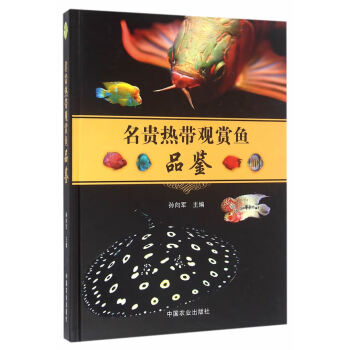 名貴熱帶觀賞魚品鑒 名貴熱帶觀賞魚品鑒