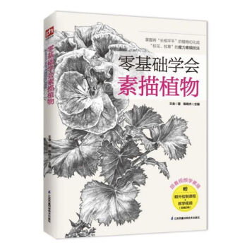 零基礎學會素描植物 零基礎學會素描植物
