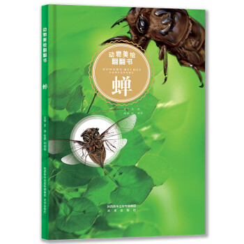 動物美繪翻翻書:蟬 動物美繪翻翻書:蟬