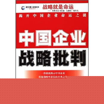 中國企業戰略批判 中國企業戰略批判