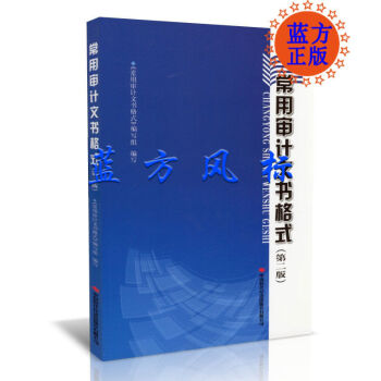 常用審計文書格式 常用審計文書格式