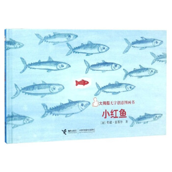 小紅魚 小紅魚