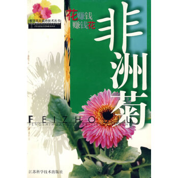 非洲菊 非洲菊