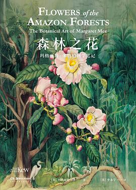 森林之花 森林之花