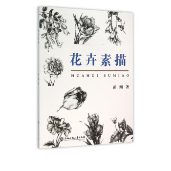 花卉素描 花卉素描
