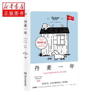丹麥一年 丹麥一年