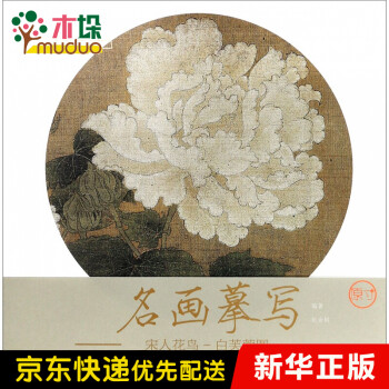 白芙蓉圖 白芙蓉圖