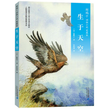 生于天空 生于天空