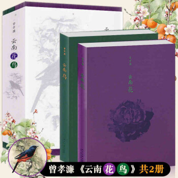 云南花鳥 云南花鳥