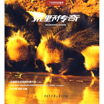 荒野傳奇 荒野傳奇