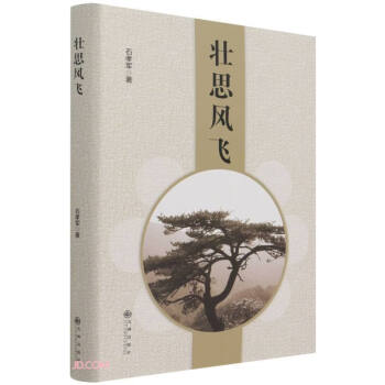 壯思風飛 壯思風飛