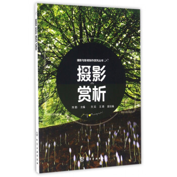 攝影賞析 攝影賞析