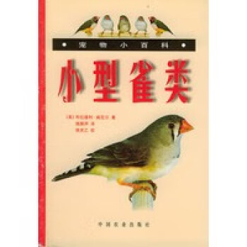 小型雀類
