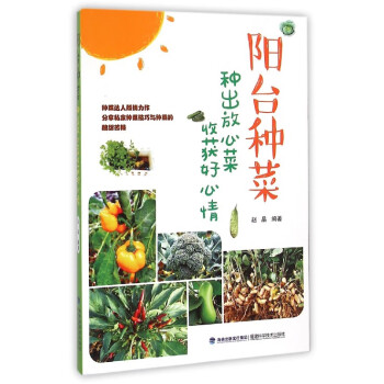 陽臺(tái)種菜 陽臺(tái)種菜