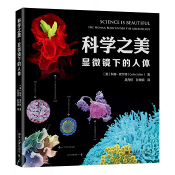 科學之美 科學之美