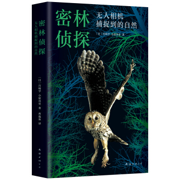 密林偵探 密林偵探