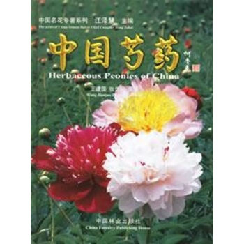 中國芍藥 中國芍藥