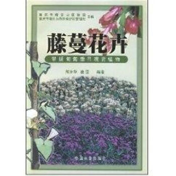 藤蔓花卉 藤蔓花卉