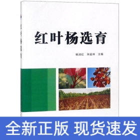 紅葉楊選育 紅葉楊選育