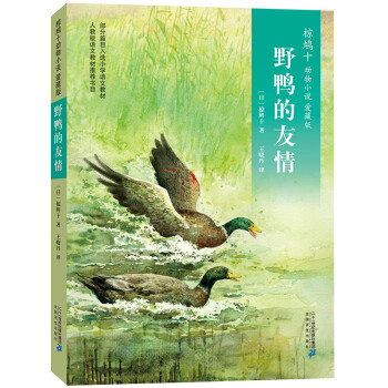 野鴨的友情 野鴨的友情