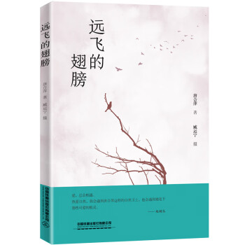 遠飛的翅膀 遠飛的翅膀