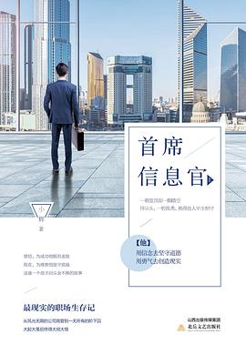 首席信息官 首席信息官