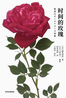 時間的玫瑰 時間的玫瑰
