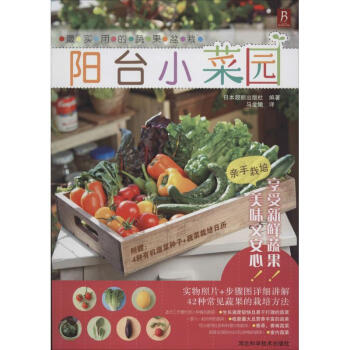 陽臺小菜園 陽臺小菜園