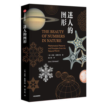 迷人的圖形 迷人的圖形