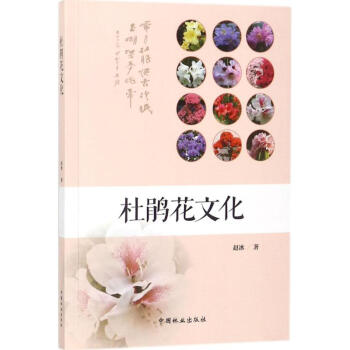 杜鵑花文化 杜鵑花文化
