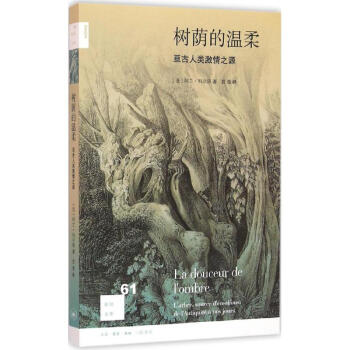 樹蔭的溫柔