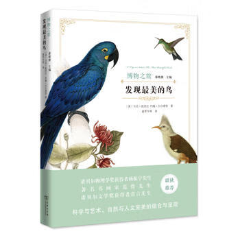 發(fā)現(xiàn)美的鳥 發(fā)現(xiàn)美的鳥