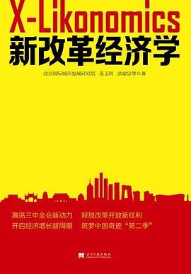 新改革經濟學 新改革經濟學