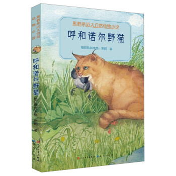 呼和諾爾野貓 呼和諾爾野貓