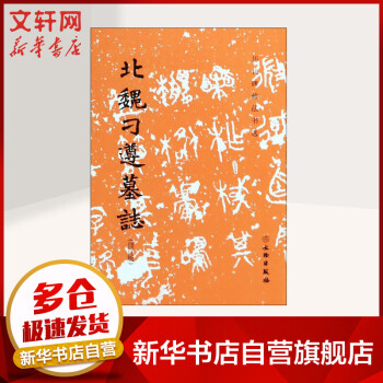 北魏刁遵墓志 北魏刁遵墓志