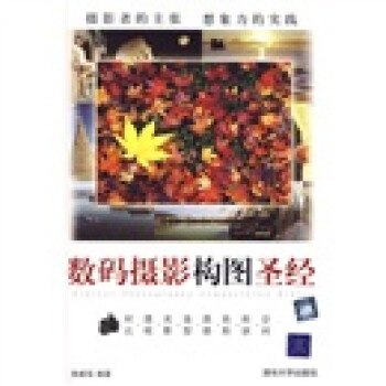 數(shù)碼攝影構(gòu)圖 數(shù)碼攝影構(gòu)圖