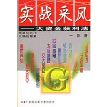 大資金獲利法 大資金獲利法