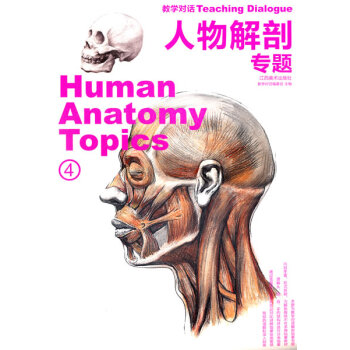 人物解剖專題 人物解剖專題
