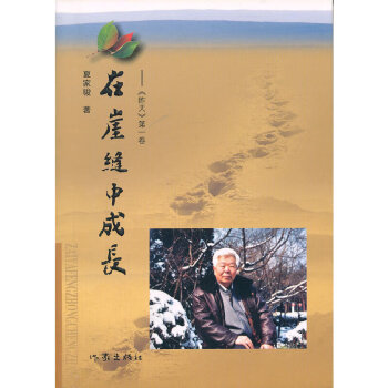 在崖縫中成長 在崖縫中成長