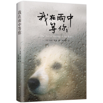 我在雨中等你 我在雨中等你