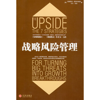 戰略風險管理 戰略風險管理